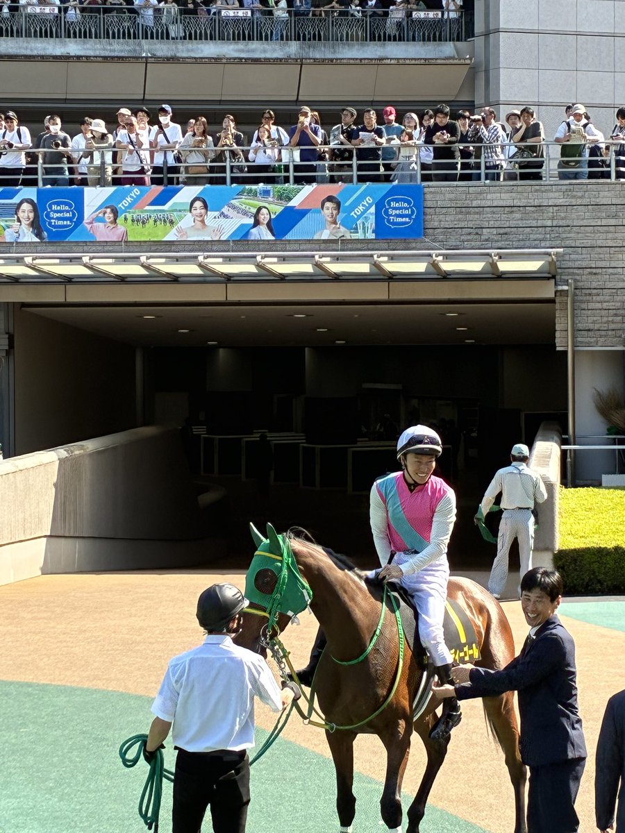 🏇競馬ランナー🏃牡馬34 tweet media