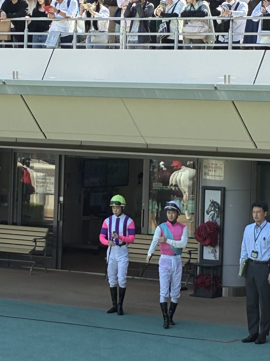 🏇競馬ランナー🏃牡馬34 tweet media