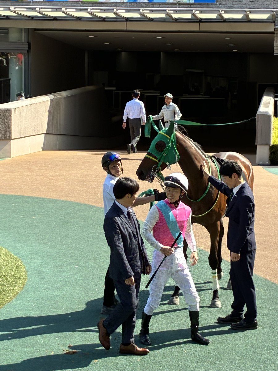 🏇競馬ランナー🏃牡馬34 tweet media