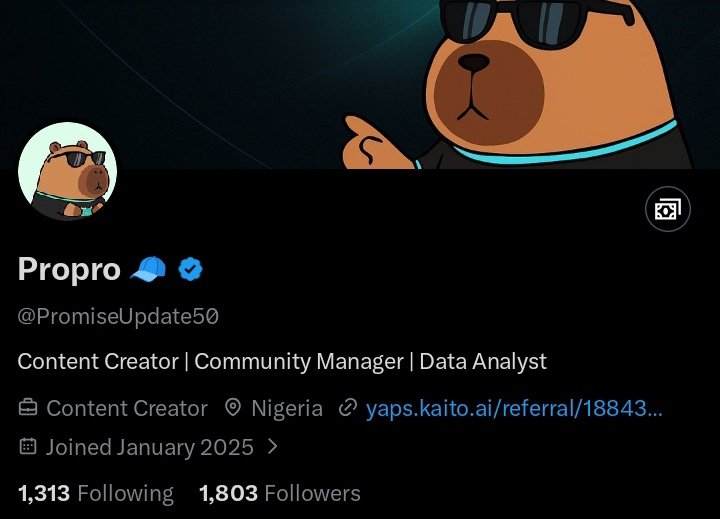Propro 🧢 tweet media