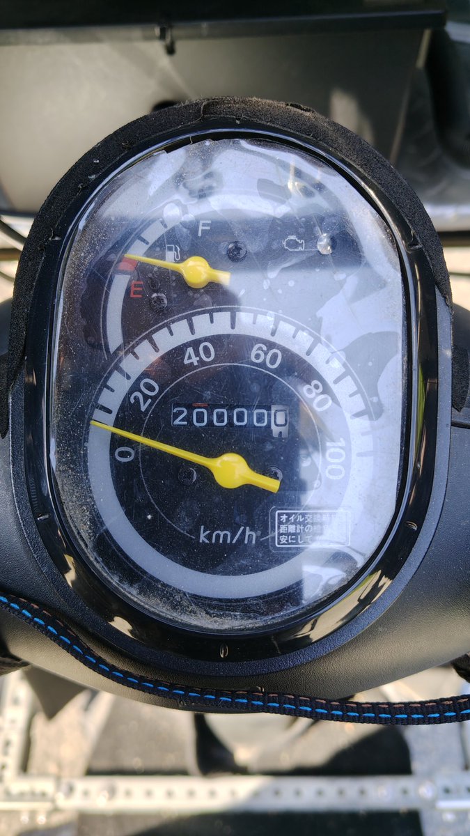 🛵🛴(・∀・)ノシ tweet media