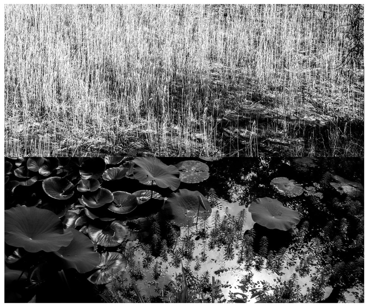 ato_misa's tweet image. ŒTOPOS ou l’exaltation du vide, diptyque, Vers Pont du Gard, Avril 2026
Misa ATO photography
Photographie noir et blanc
Blackandwhite photography
©misaato
#noiretblancphotographie #paysages #blackandwhite #blackandwhitephotography #curationbywipplay
