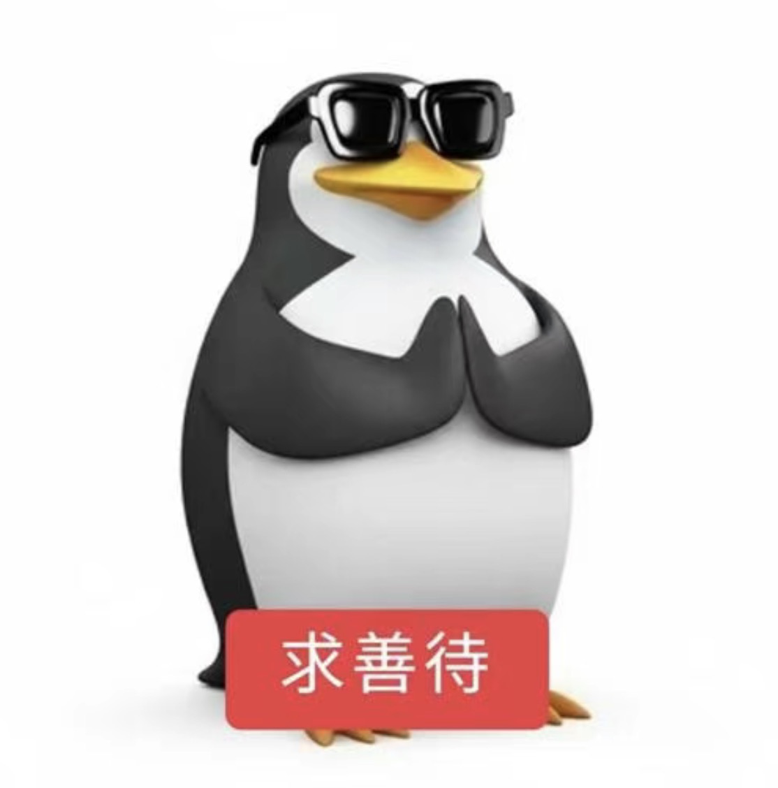 yang0201 tweet media