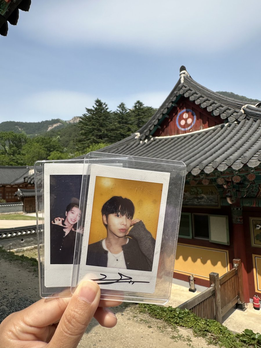 희쫑이 ʕ•ᴥ•ʔ tweet media