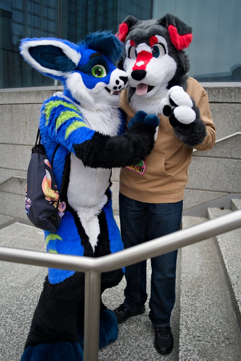 mazeycabbit's tweet photo. I'M LATE AAAAAH, HAPPY #FURSUITSFRIDAY, with the wonderful @turbulence898 (one day my cabbit fursuit will be there)

📸 -> @DFrankenstein90 https://t.co/thmDXTseAL