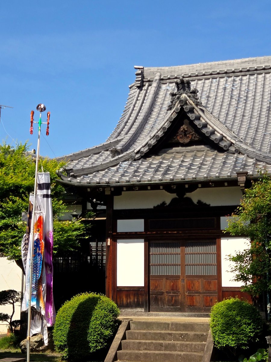 tw_linlin's tweet photo. 朝からお天気🌞で青空!
烏山寺町、永源寺さんの鯉のぼり🎏
今年も早めに飾られています
が………無風
鯉のぼりは最近泳ぐことを止めてしまったのか!?
#鯉のぼり #烏山寺町 #carpstreamer #photography
#NoWar☮️ #戦争反対改憲反対🐰 https://t.co/WzsdYWZR2K