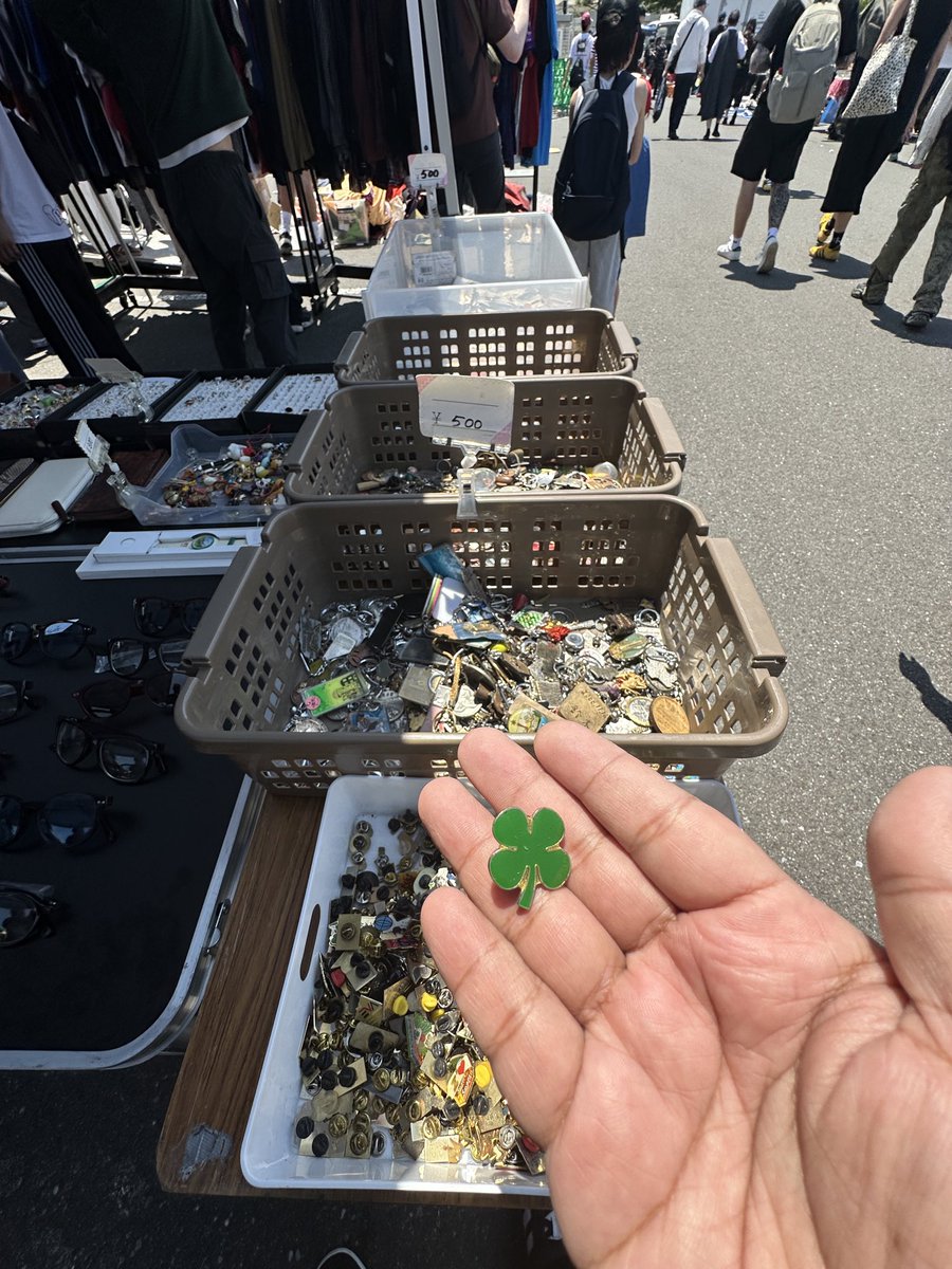 Shamrock 500¥