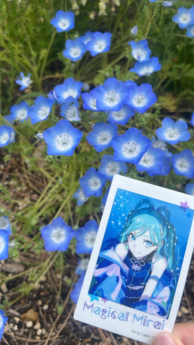 つな缶 tweet media
