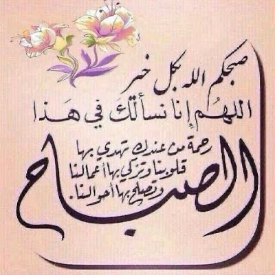 دلال tweet media