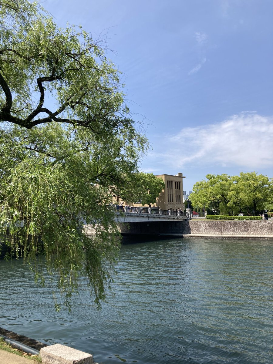 珊瑚の指輪 tweet media