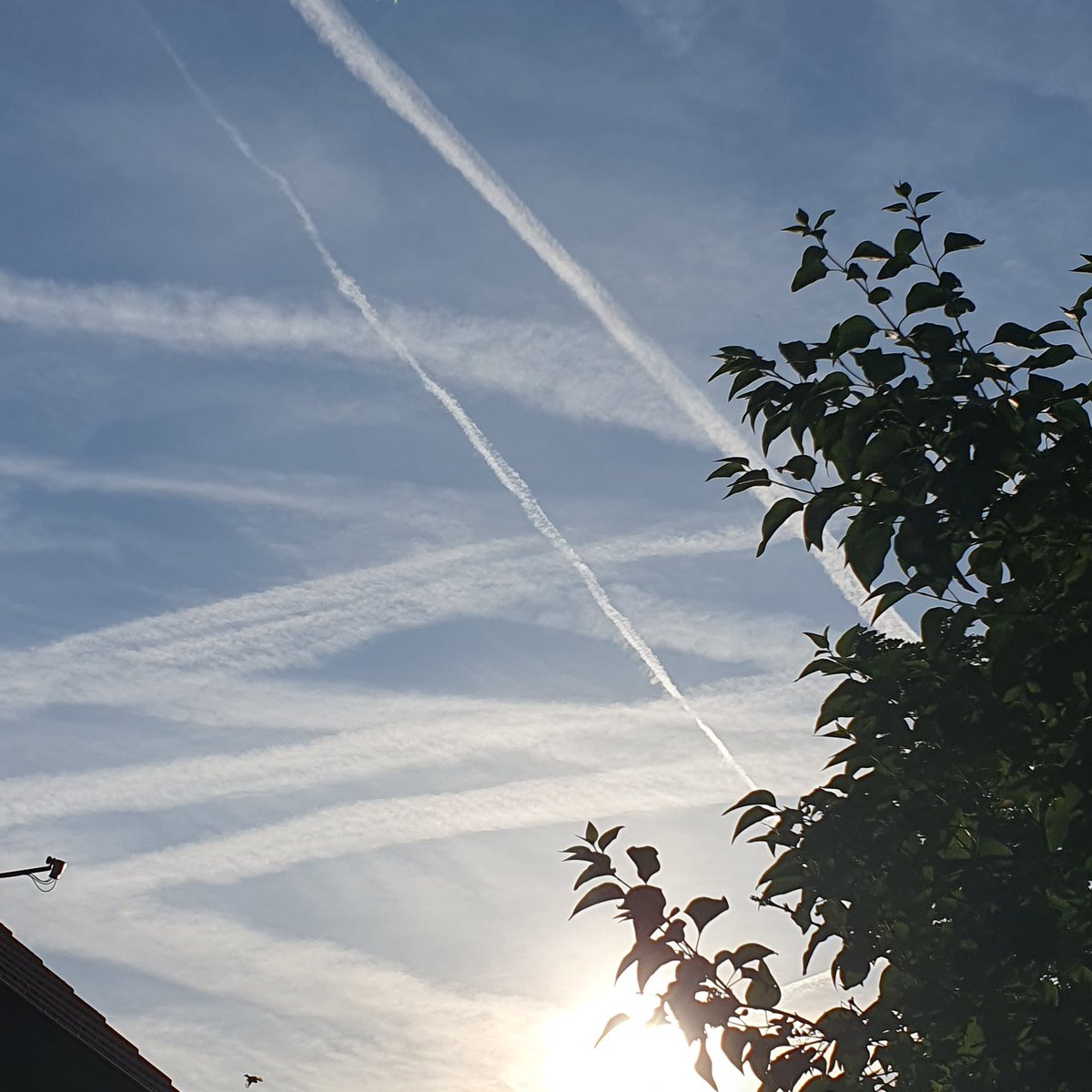 Morgenhimmel.
Das Übliche...
Geoengeniering.