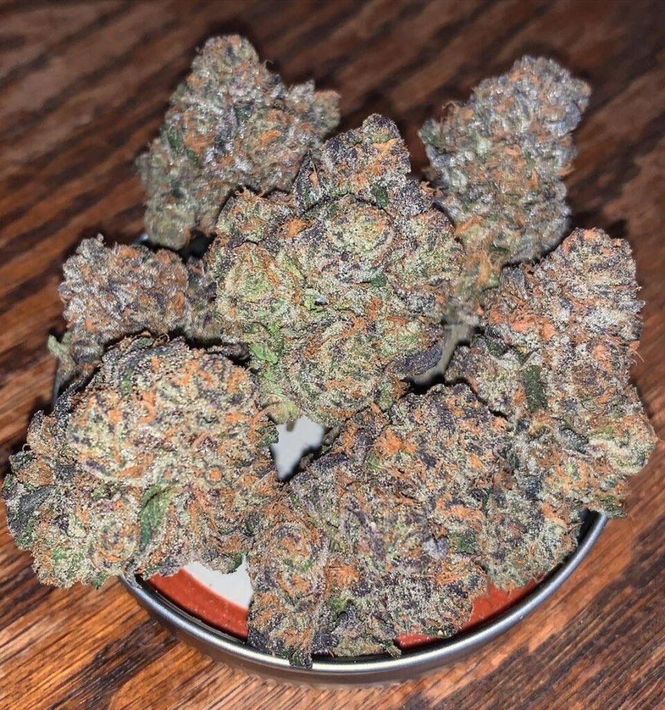arnesonb's tweet image. Give this strain a name 
#indoor #bows #za #zaza #exoticflower #cali #stoners #Bitcoin #terps #looseleaf #rosin #besos #nyc
