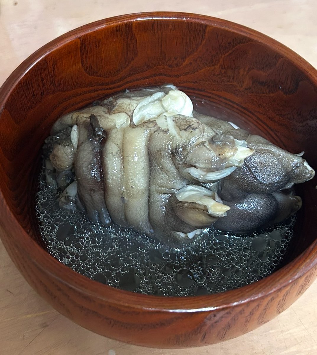 machige99's tweet photo. 豚足をスパイスと圧力鍋で煮たら，なんだかオークの足みたいになった💦

1人でダンジョンに来てるのかな？？

#ダンジョン飯
#オーク https://t.co/1EBvGt5fLe