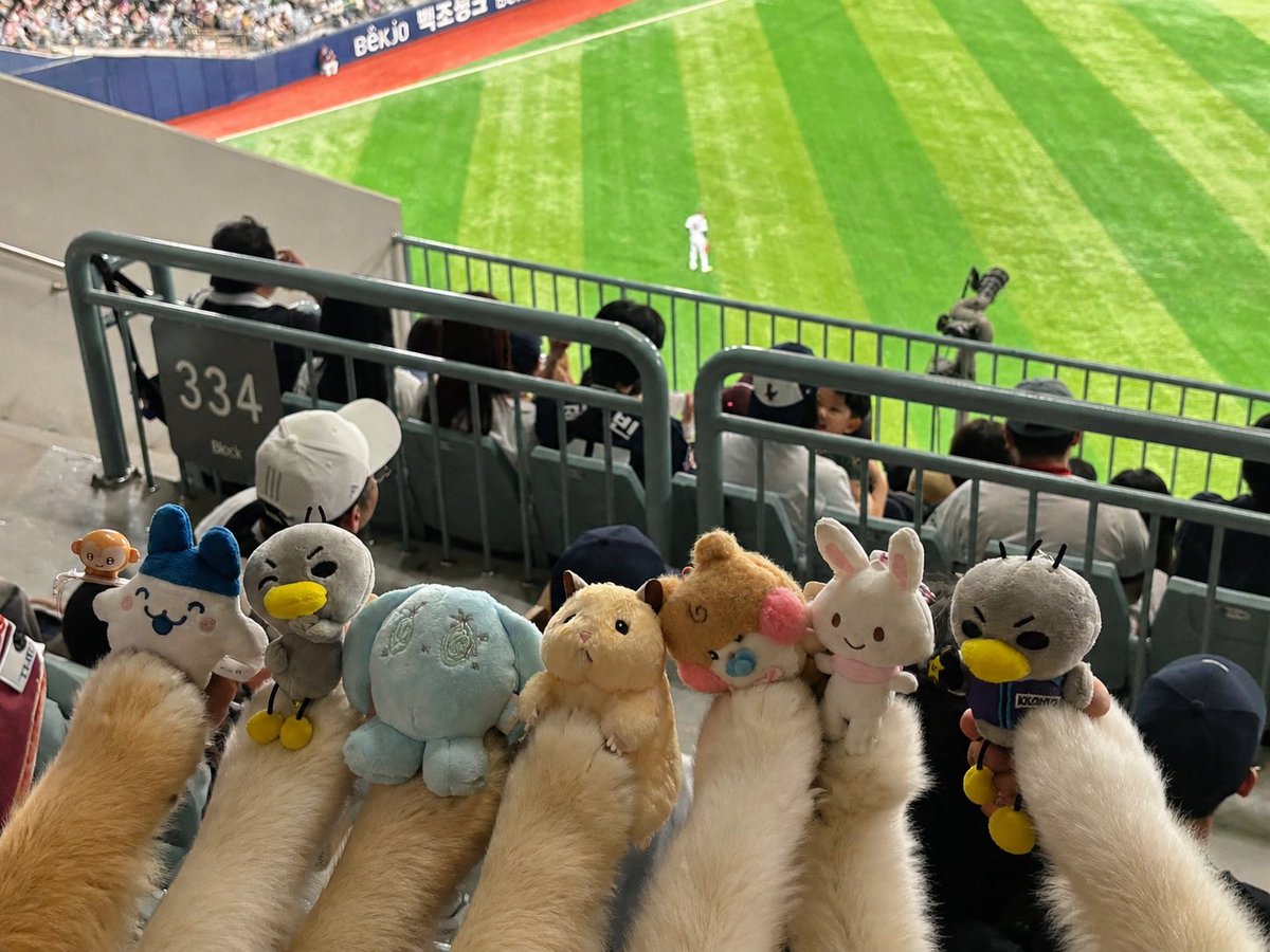 핌핌이 tweet media
