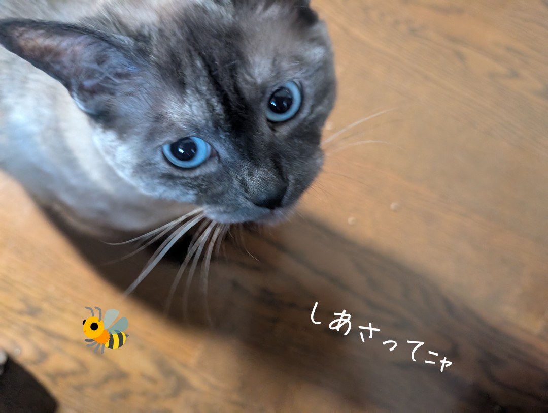 emm 😽ｴﾑﾆﾝ♪ tweet media