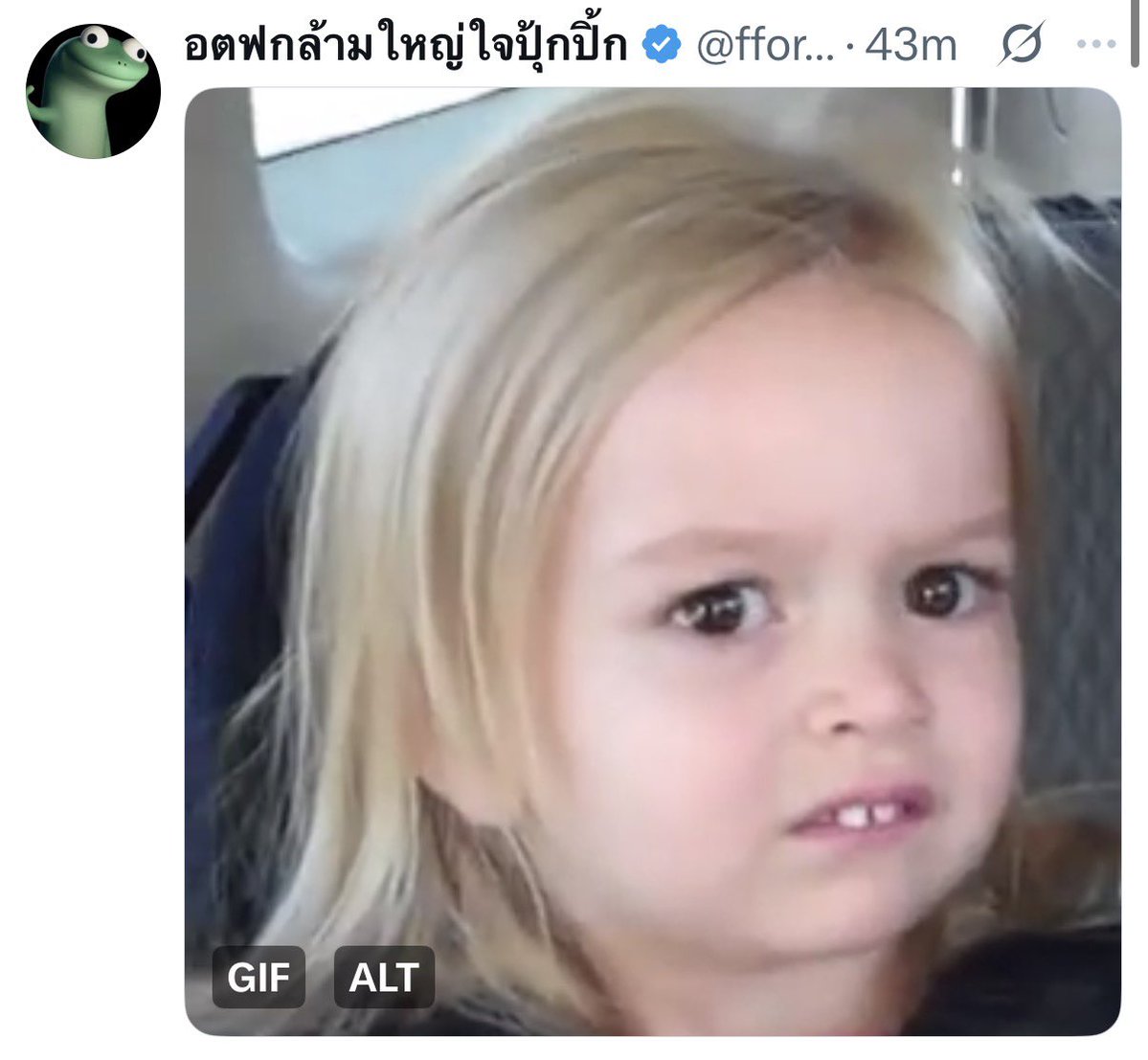 FossBoo_ 🦊🍅 tweet media