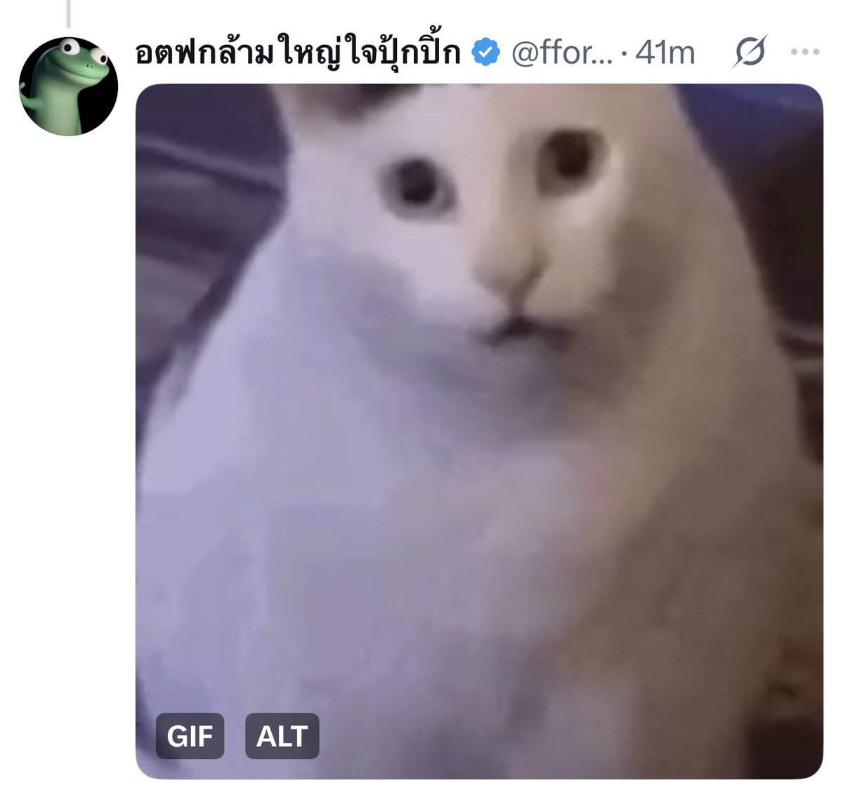FossBoo_ 🦊🍅 tweet media
