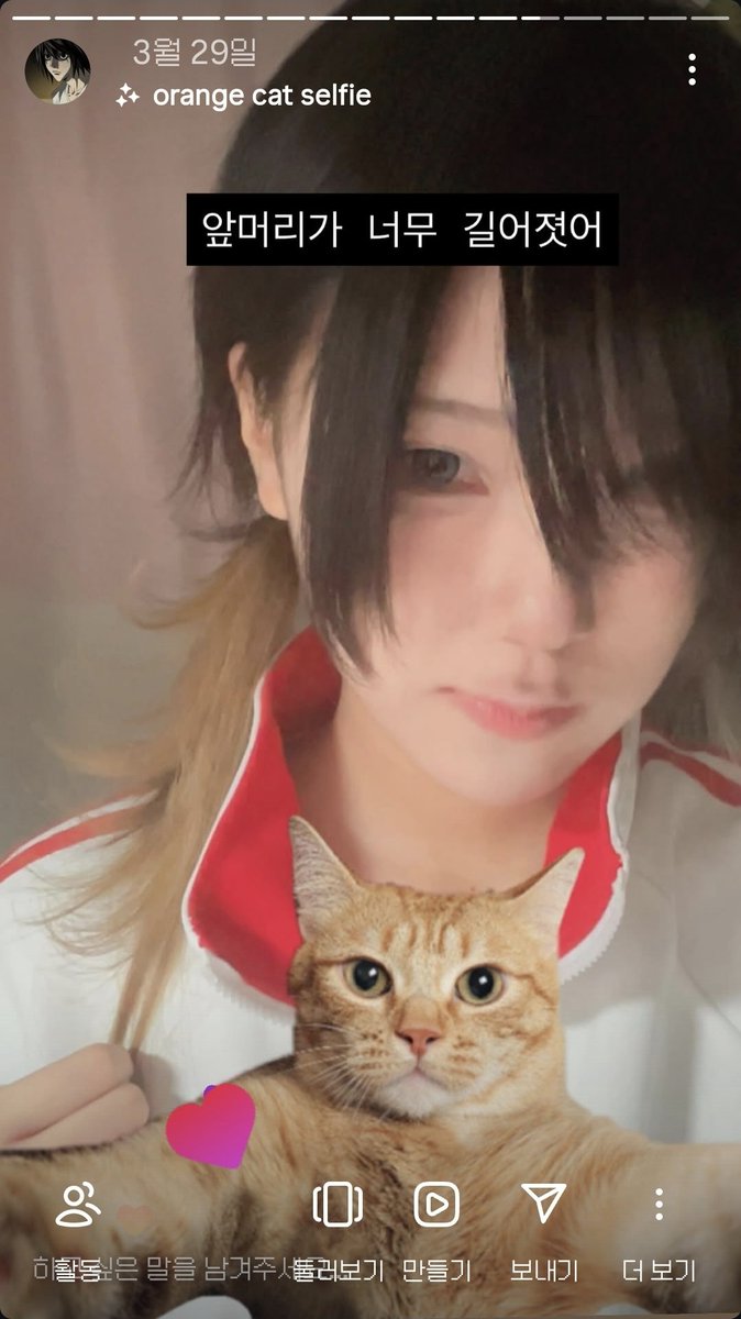 ぷっちょニャン tweet media