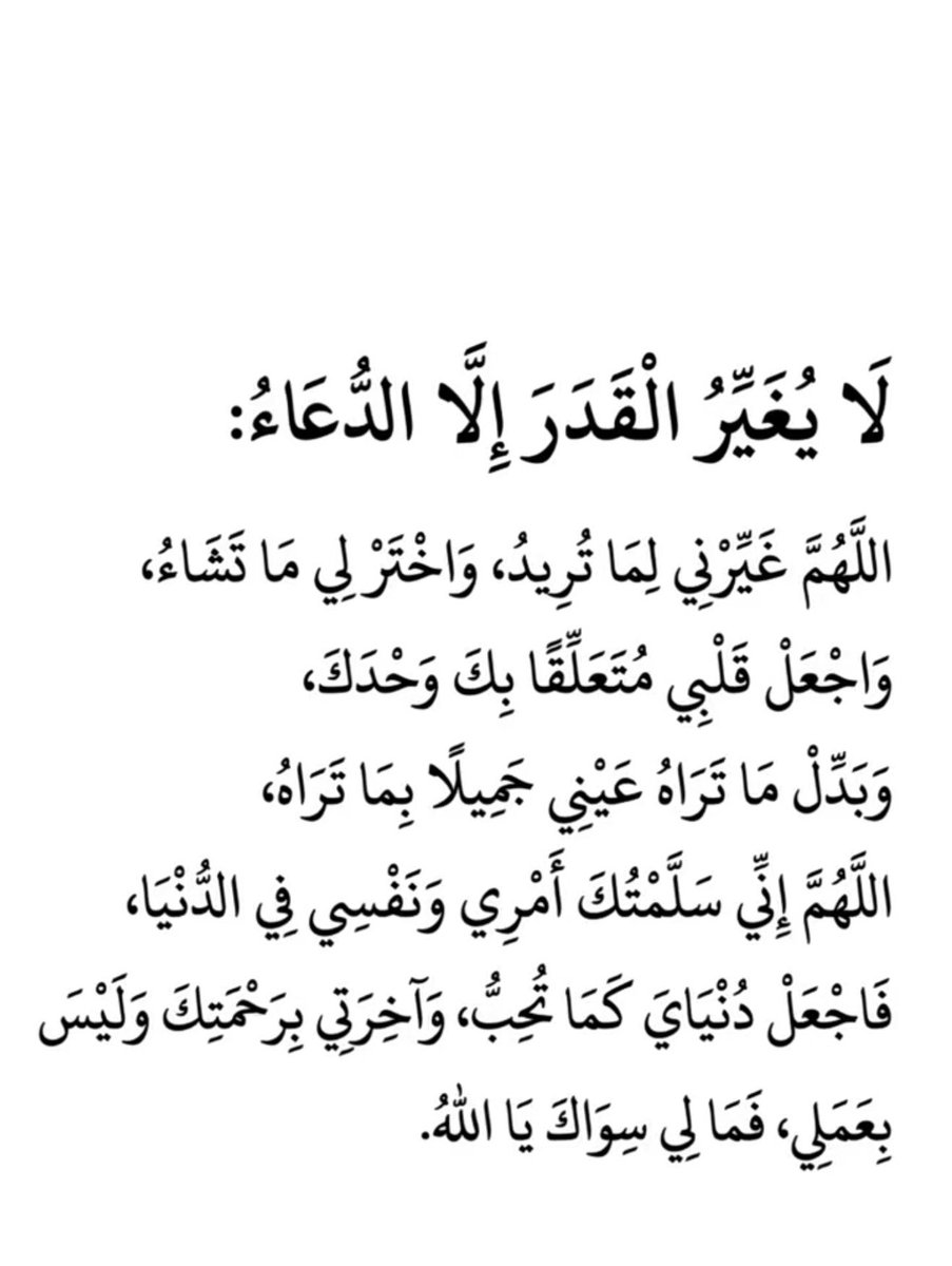 🦌🇦🇪M راعية العوايد tweet media