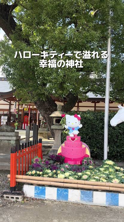 まさおNERDY🐹🦭🌻☀️🌻🐹🐹 tweet media