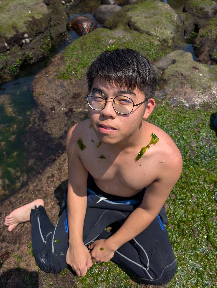 叼著香菜ㄉ斑馴 tweet media