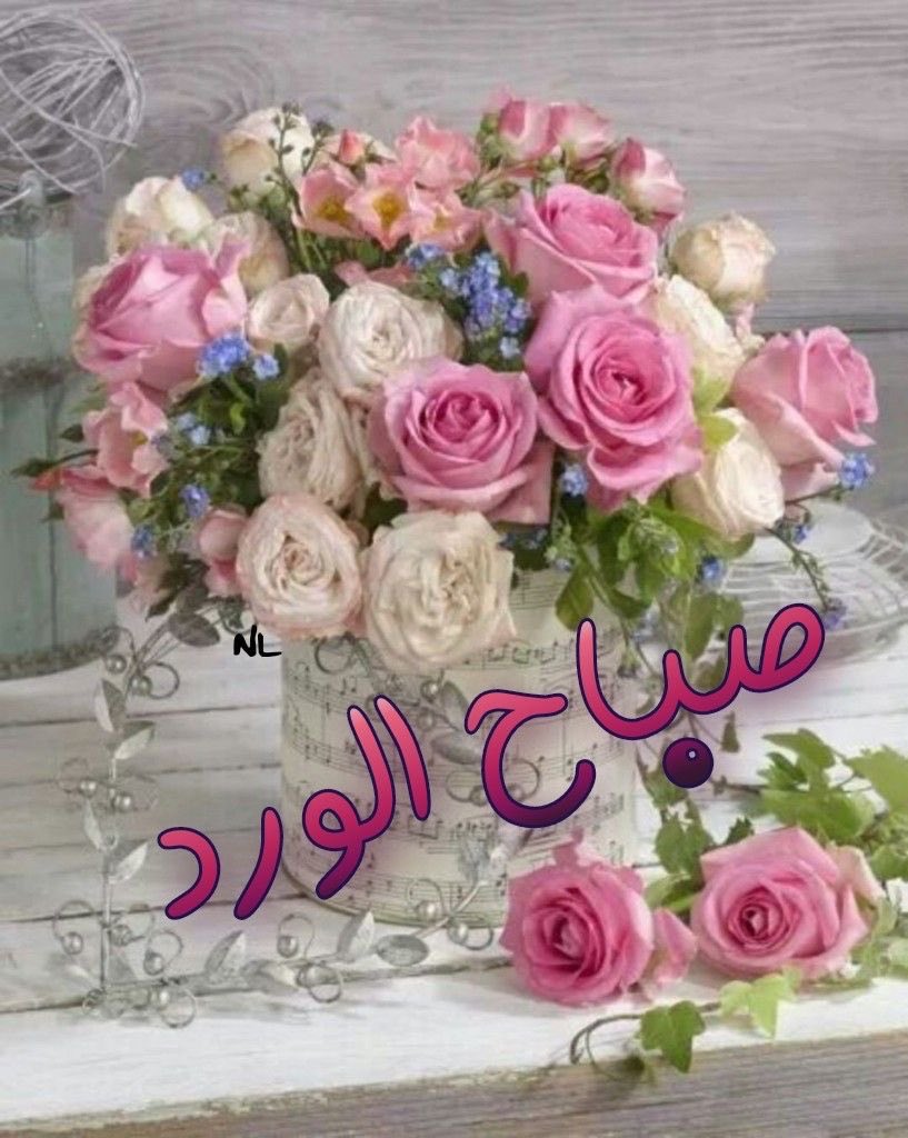 اربعيني sayf aleiraqii tweet media