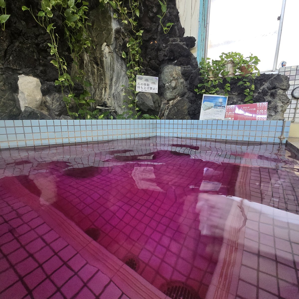 ニコニコ湯♨️ tweet media