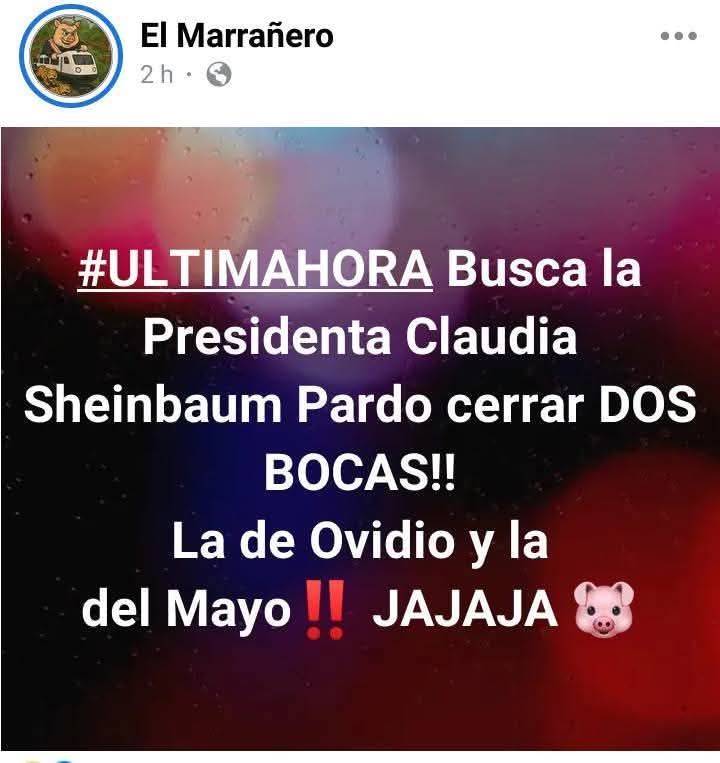 YO MERO tweet media