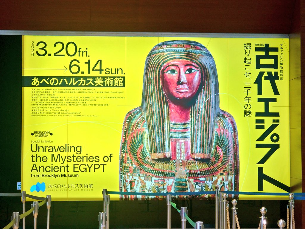 K彦 tweet media