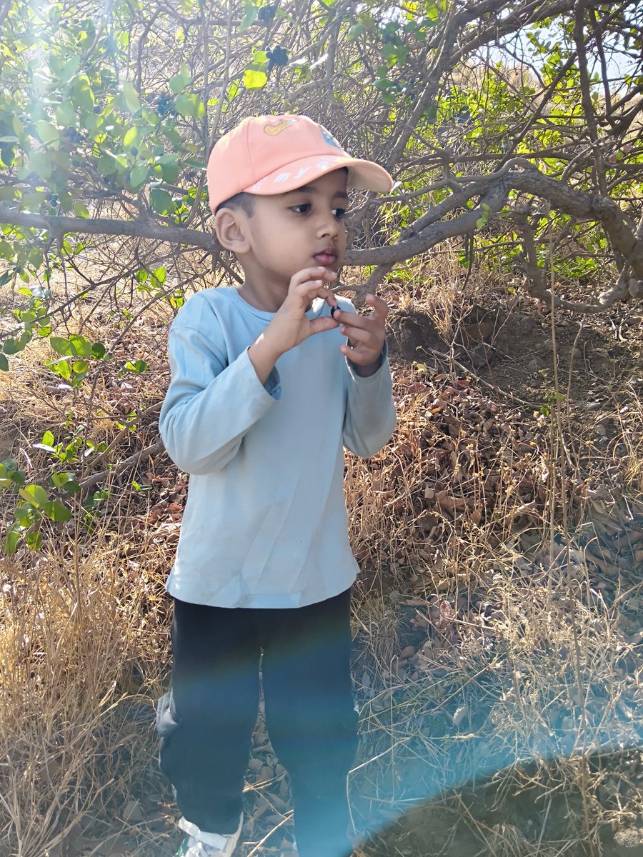 🌳 PuneGoGreen🌳 tweet media