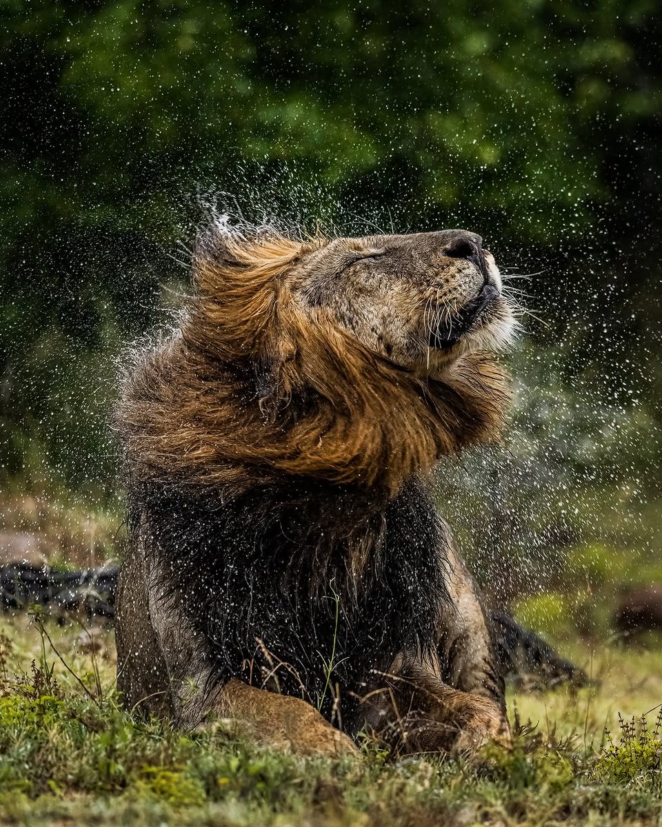 Deon Kelbrick 🇿🇦 tweet media