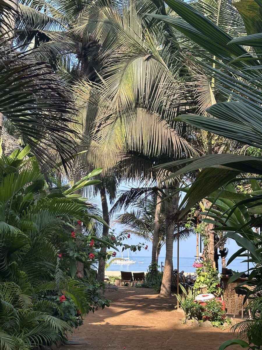 ikhushh7's tweet photo. Goa, India https://t.co/PCmr21Jnz9