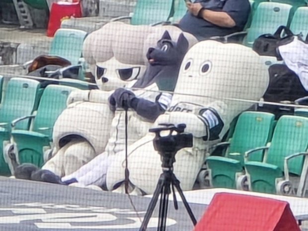 머라노 tweet media
