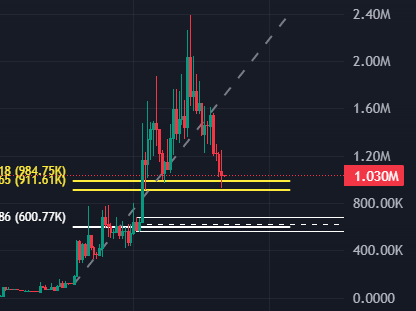 Ngl that fat fuck did it to me

$chonkers might be the next animal runnooor

Waiting for entry on touch of the white box , invalidation below

If it doesn't get there I'll be cheering &amp; throwing snacks from the sideline