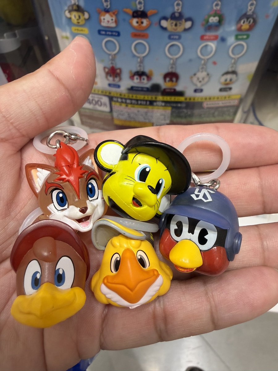 マル、、、 tweet media