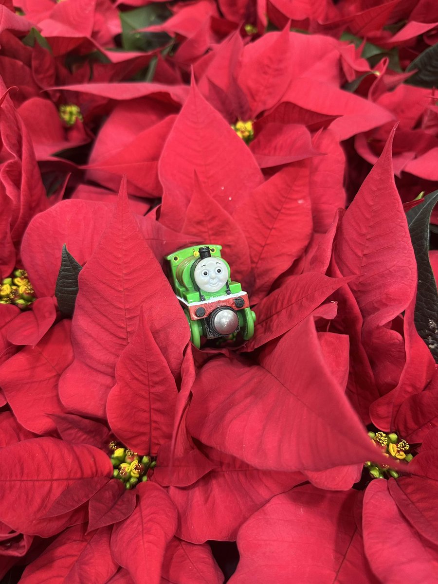 𝓑𝓾𝓻𝓖𝓮𝓻_𝓬𝓸𝓶𝓫𝓸 tweet media