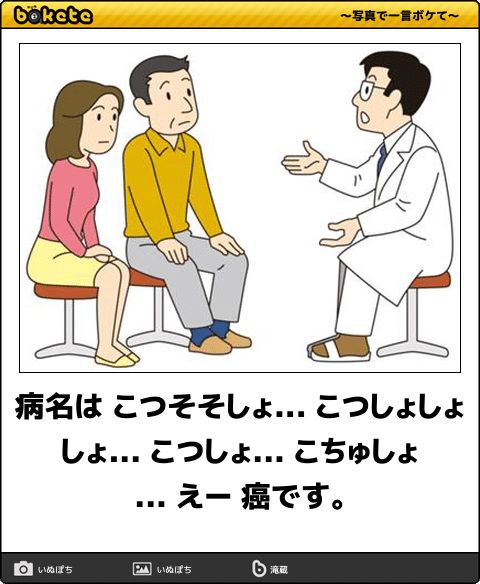 フォトロイド🦊 tweet media