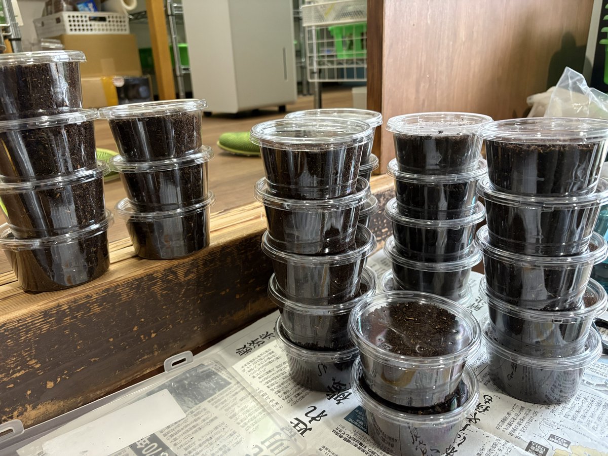 イチロー 16 tweet media