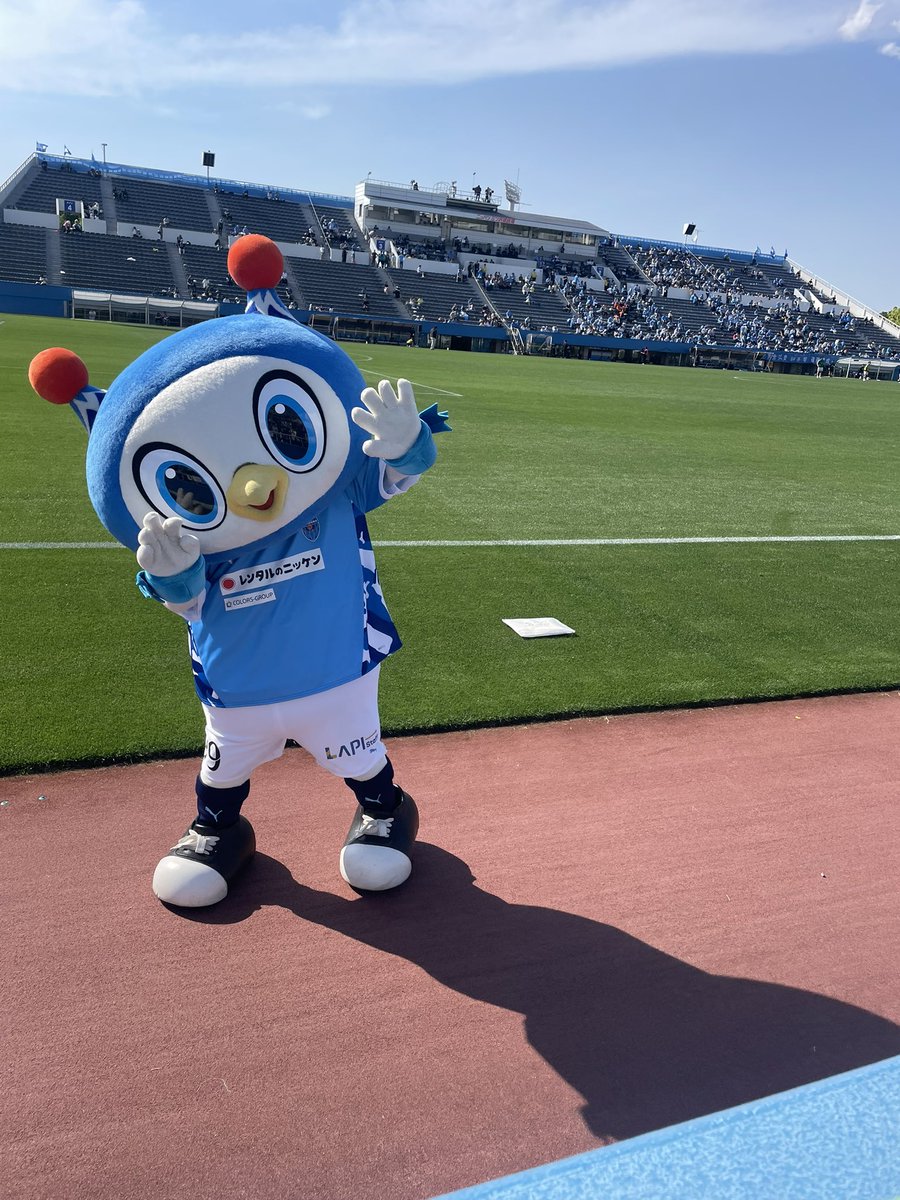 ぷれせぺ tweet media