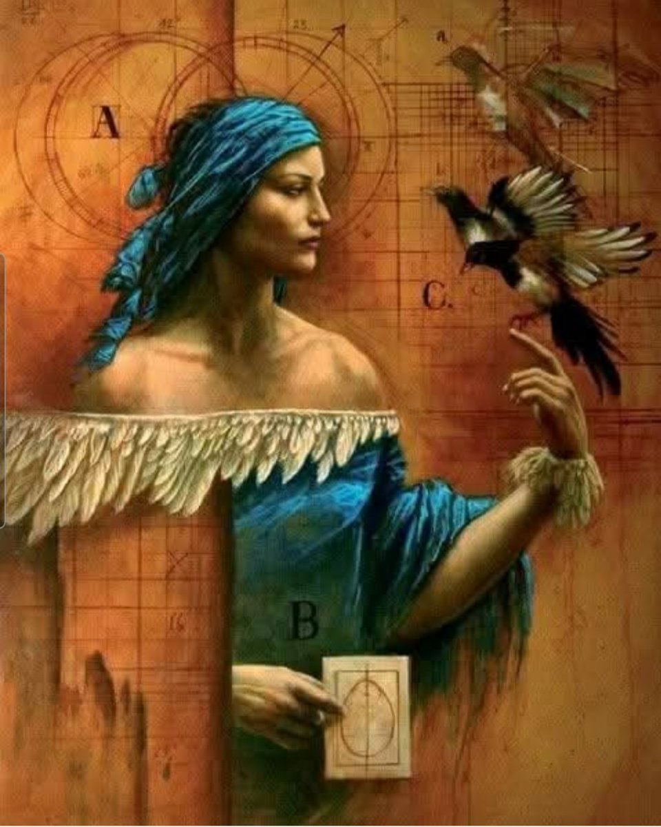 luciana romano💎🐦 tweet media