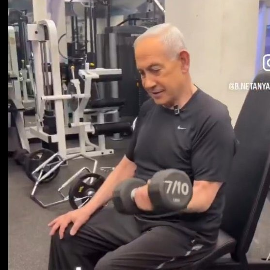 יהושפט החתול האנטיפת tweet media