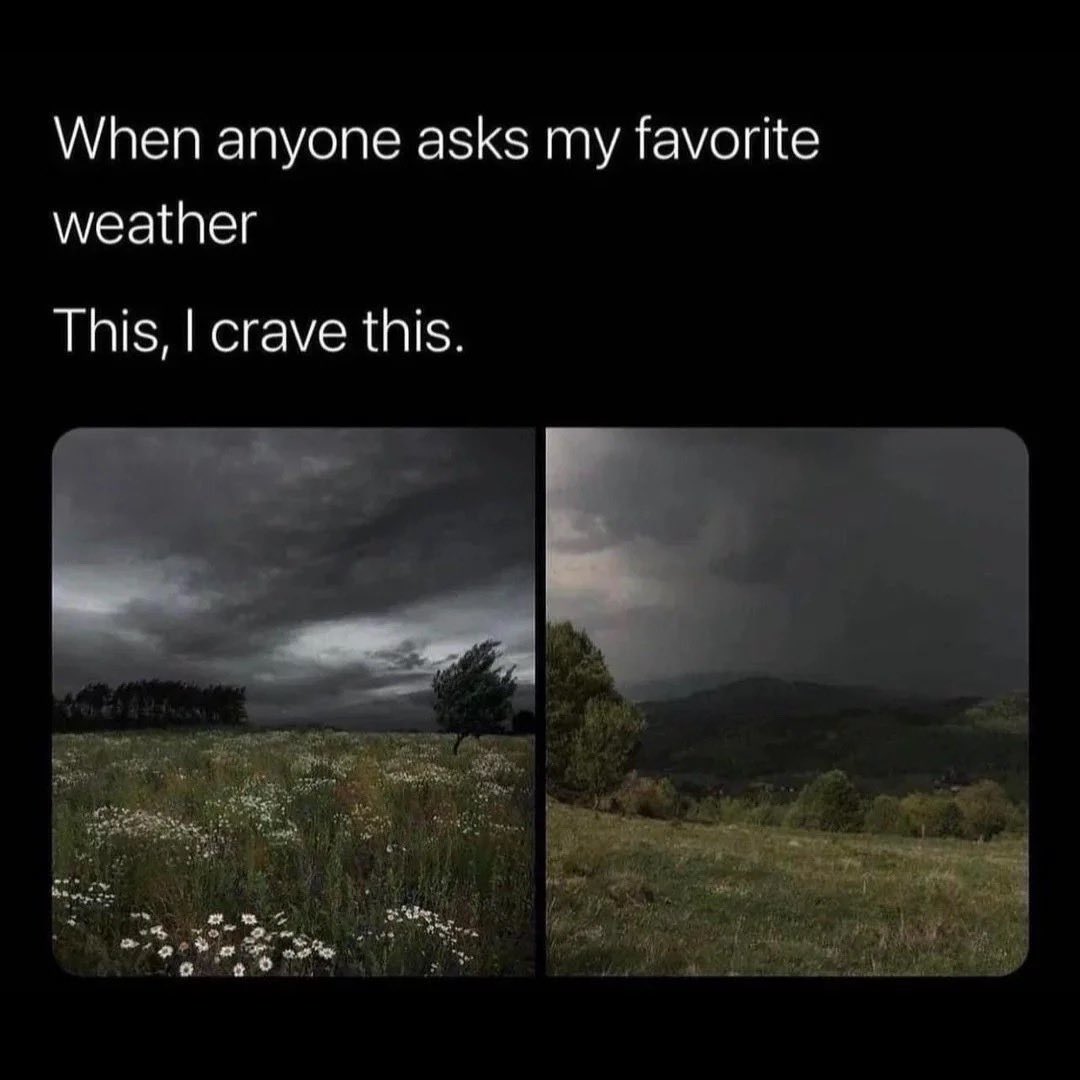 ⛆ 🌧️ ⛆ tweet media