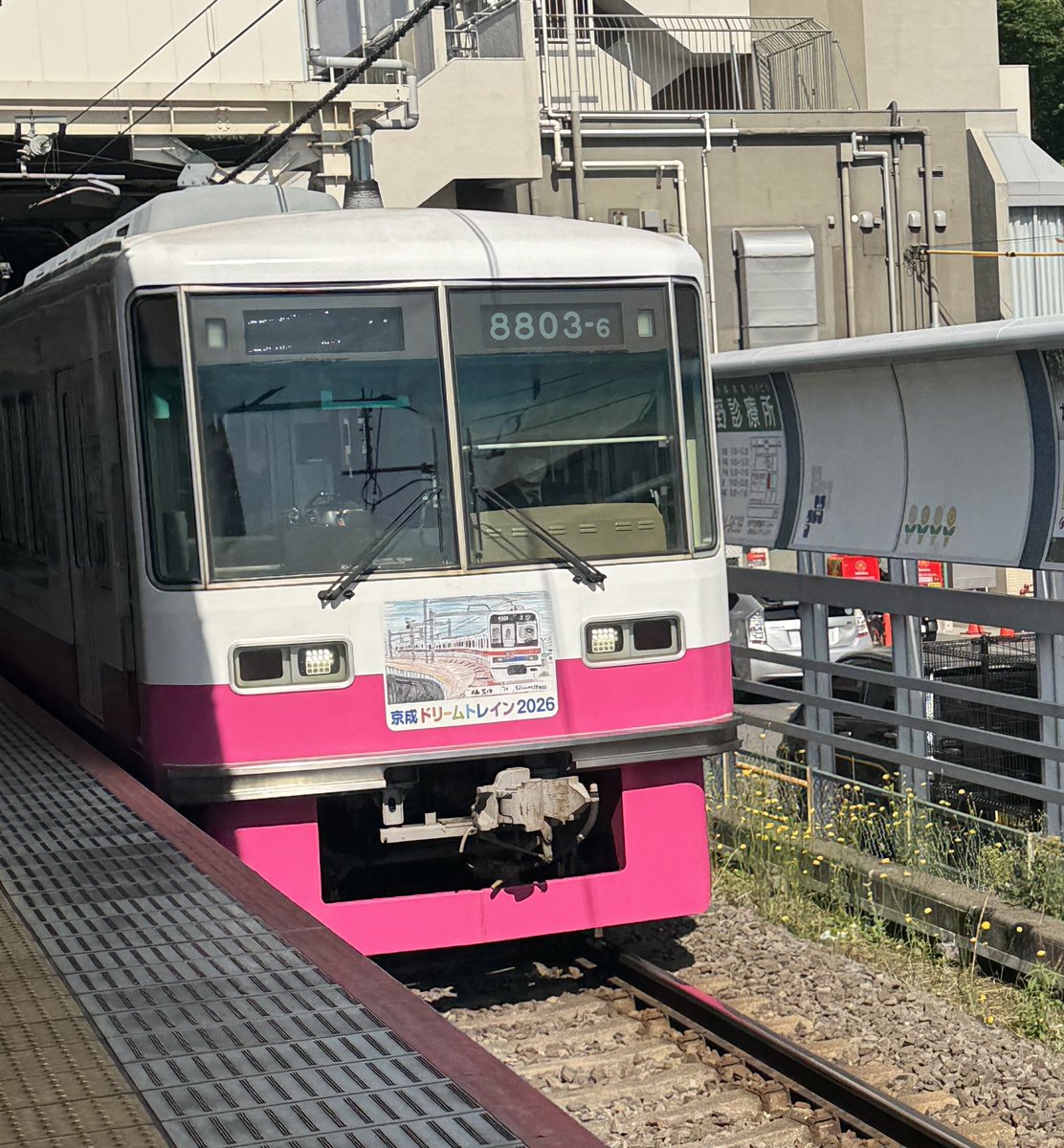 するめッツ tweet media