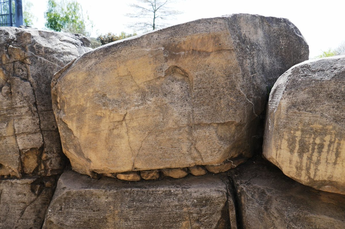 6earth97's tweet image. #photography #stones #rocks A sleepy rock-a-saurus