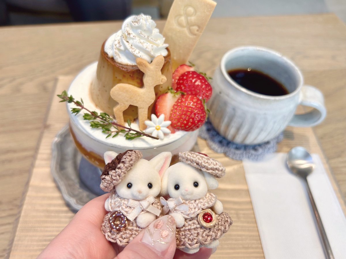 kokuma🐻🌿 tweet media