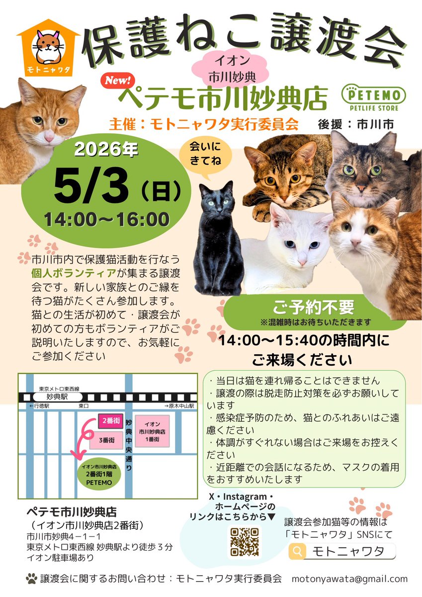 モトニャワタ⭐︎5/3(日)譲渡会🐱初🔰ペテモ市川妙典 tweet media