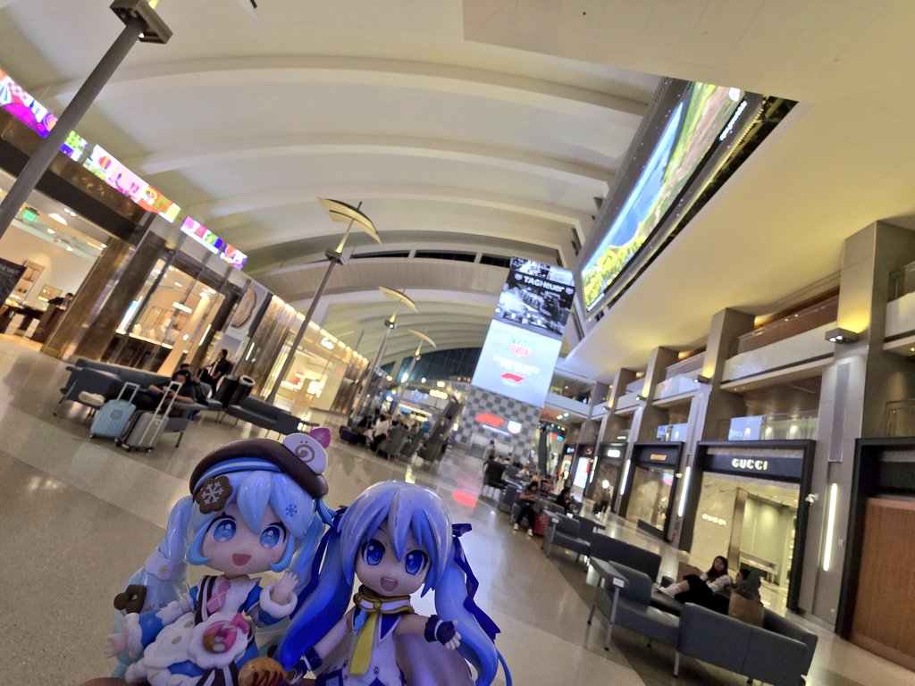 ろぢゃお🌸(Rodgers/로자오) tweet media