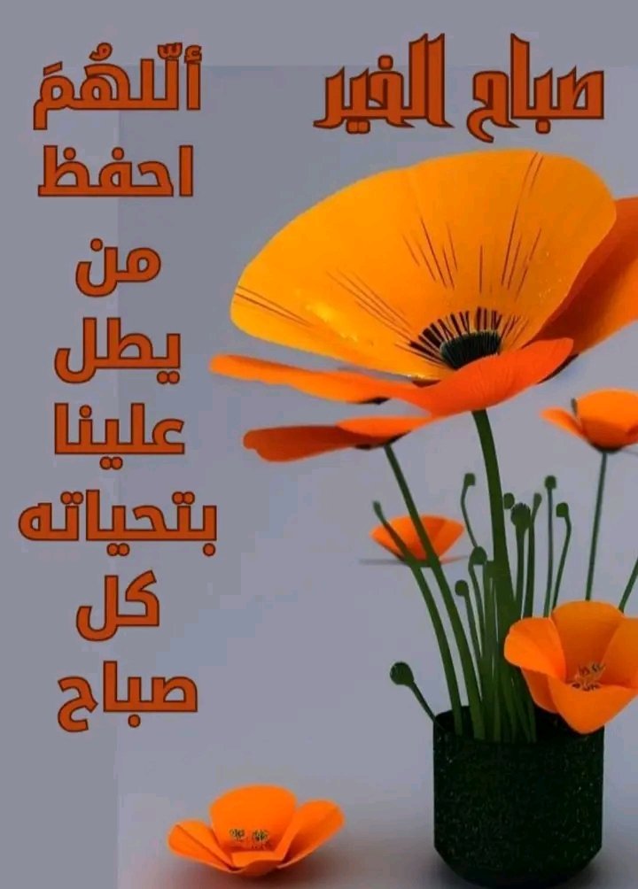 ꧁‎انيہقه بشہخہصيہتہيہ‎꧂ tweet media