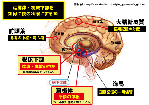 イクミ tweet media
