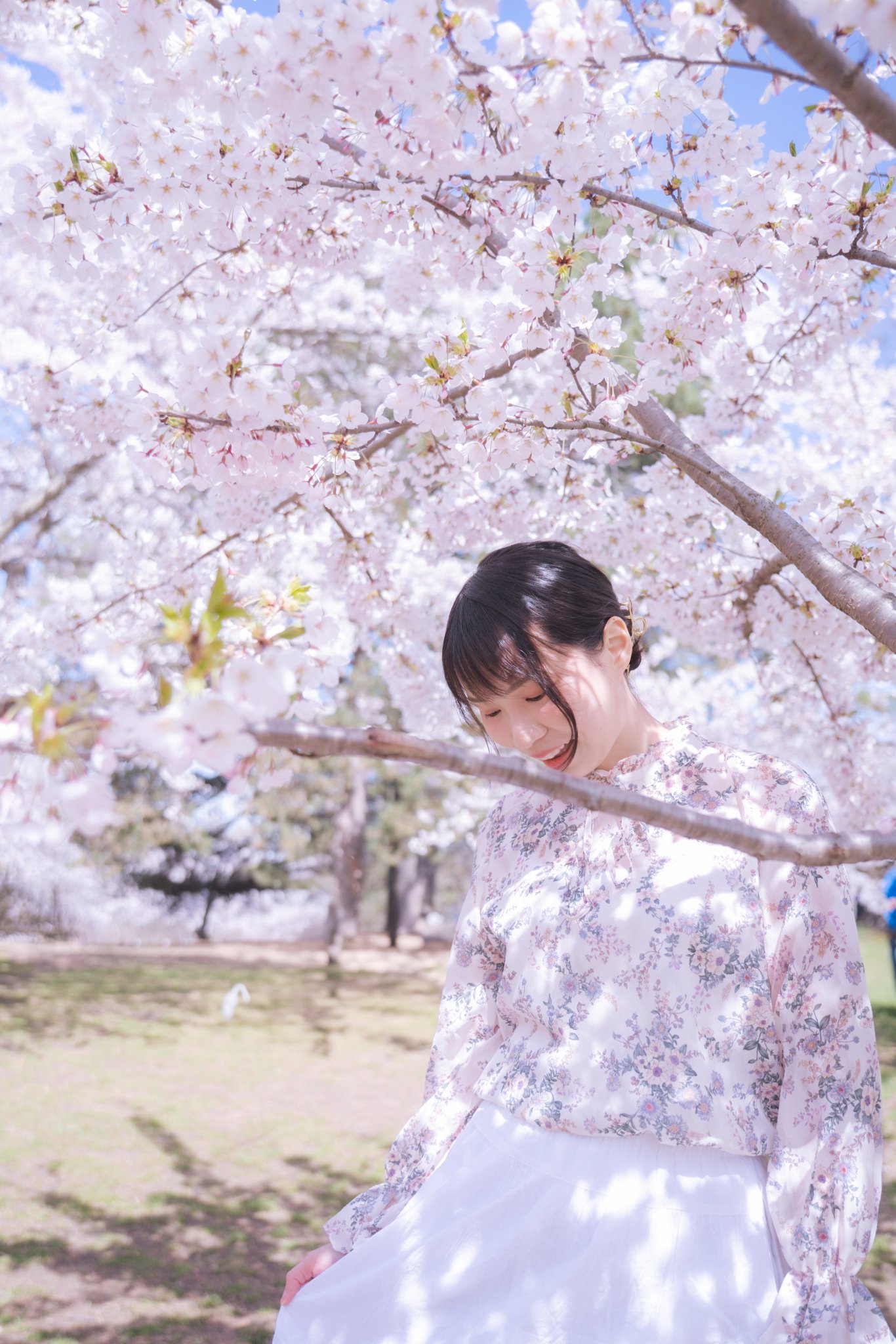 さくらとなつのお庭☆ページ HHSxvR4XAAEE1Tk.jpg:large